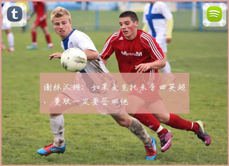 谢林汉姆：如果麦克托米奈回英超，曼联一定要签回他