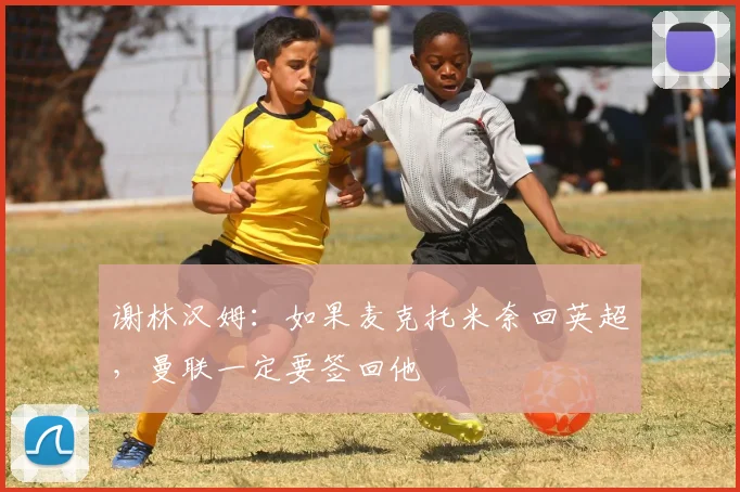 谢林汉姆：如果麦克托米奈回英超，曼联一定要签回他